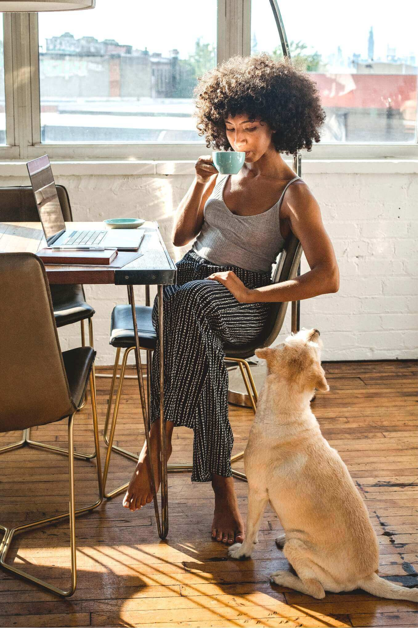 Lady studying with a cat